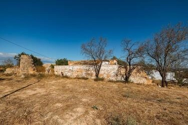 Two exceptional plots with two ruins for sale-Vale Judeu
