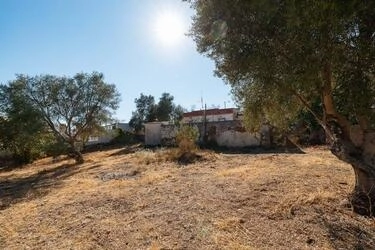 Two exceptional plots with two ruins for sale-Vale Judeu