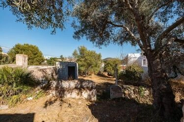 Two exceptional plots with two ruins for sale-Vale Judeu