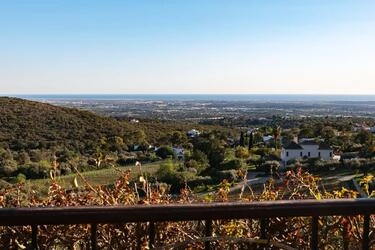 Vineyard Estate-Santa Barbara de Nexe | 8 bedrooms