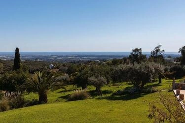 Vineyard Estate-Santa Barbara de Nexe | 8 bedrooms