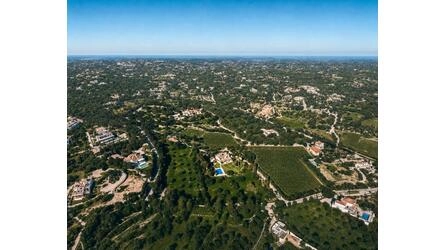 Vineyard Estate-Santa Barbara de Nexe | 8 bedrooms